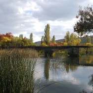 Brücke