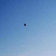 Flugverkehr