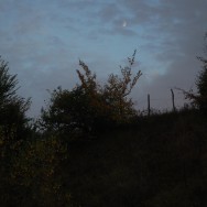 Schattenwelt