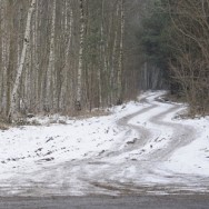 Der Weg