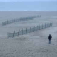 Mann und Hund und Meer