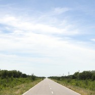 Rückkehr