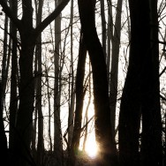 _DSE0723