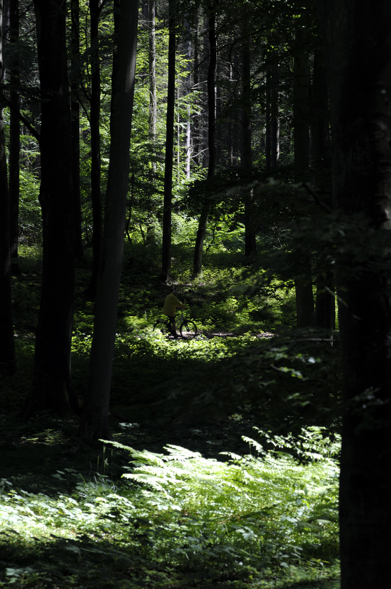 Hochwald Sellin